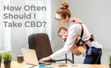 How Often Should I Take CBD?