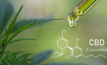 What Is CBD and How Does It Work?