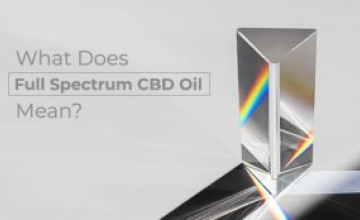 What Does Full Spectrum CBD Oil Mean?